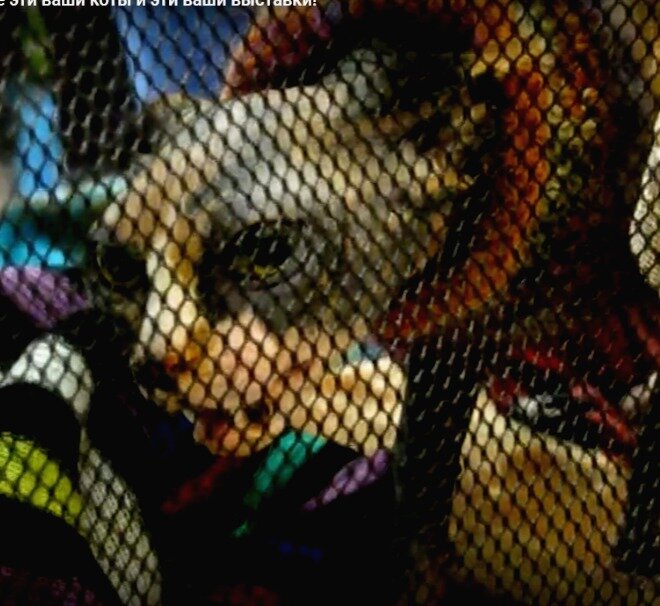 Не походи, порву!