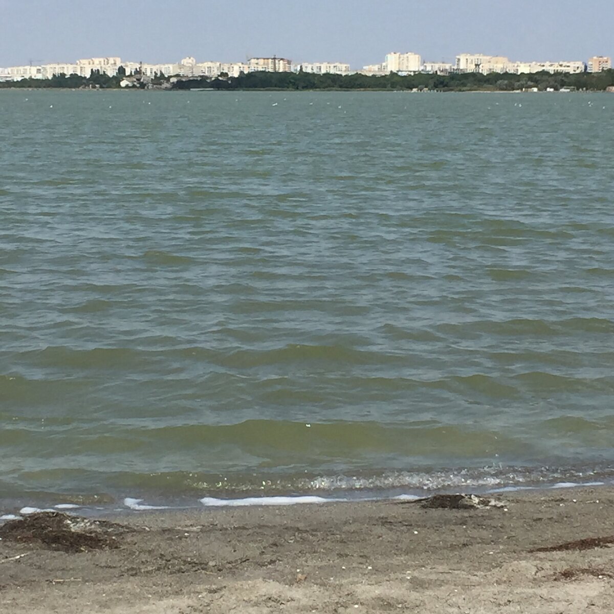 мойнакский парк евпатория