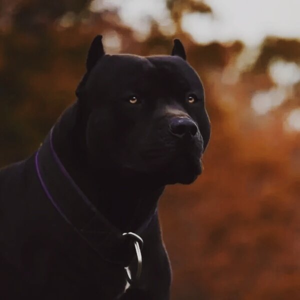 Фото с просторов интернета