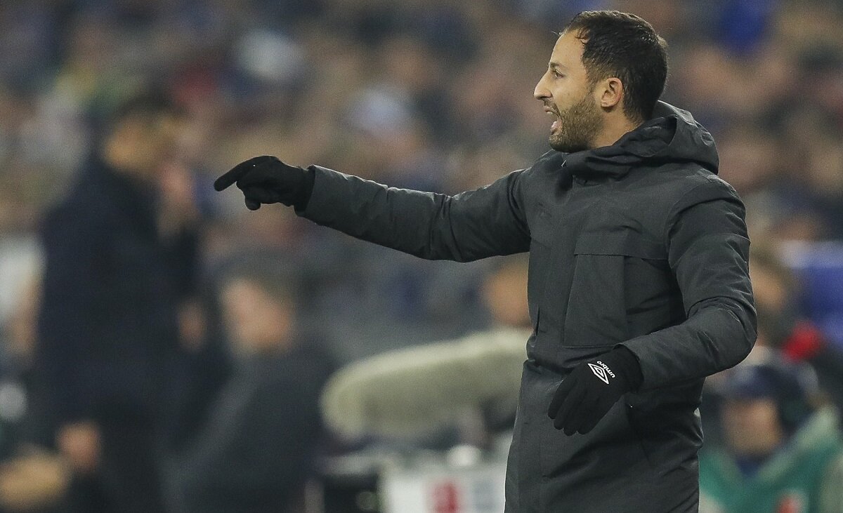 Доменико Тедеско. 