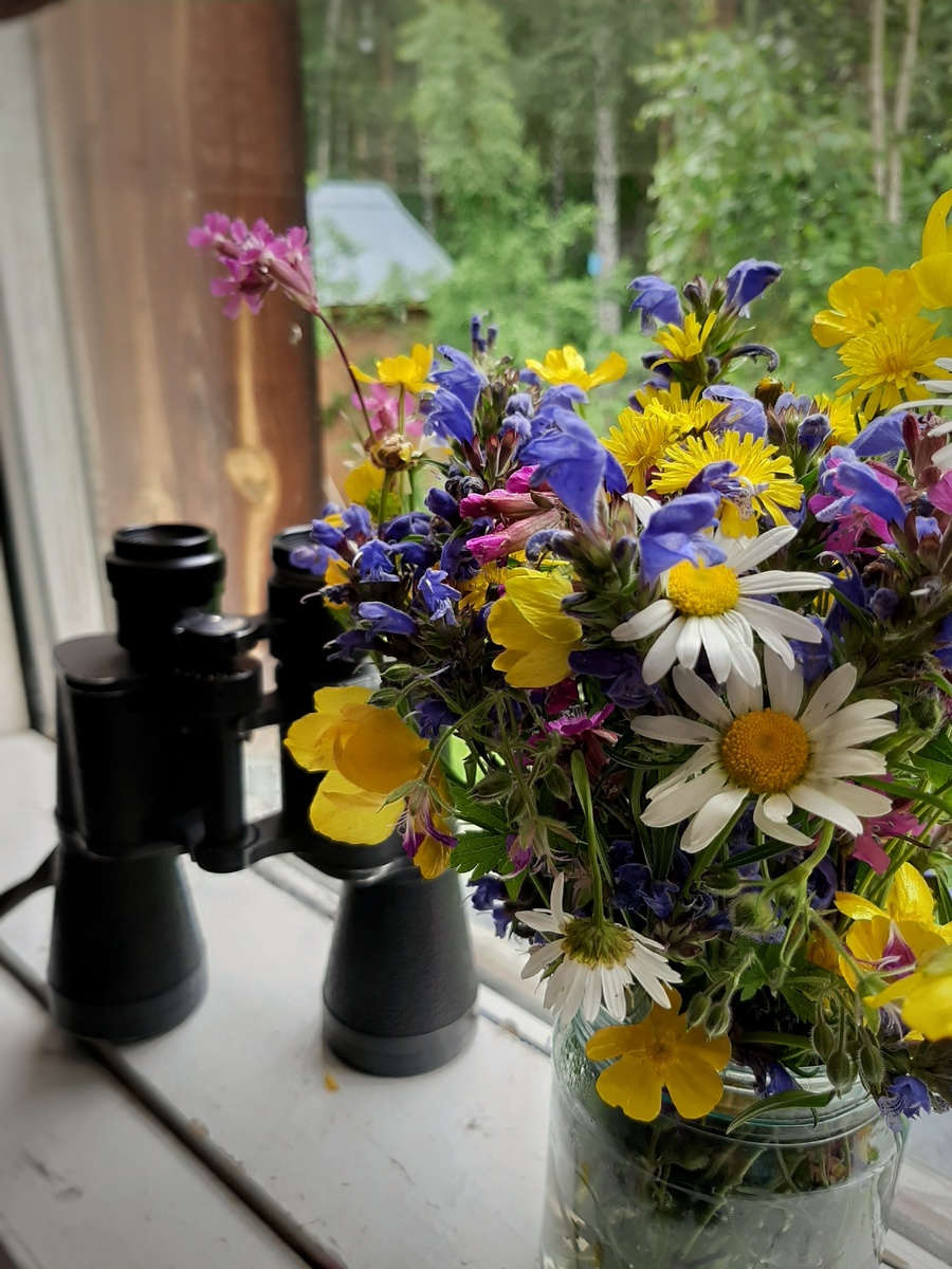 лесные цветы