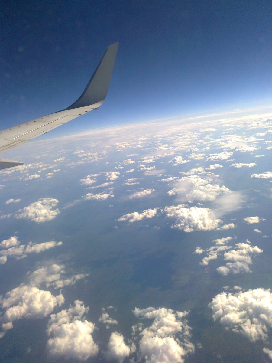 Внизу- Васюганское болото, самое большое в мире. Я живу на краю!