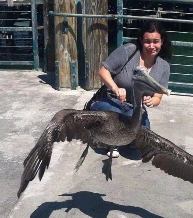 фото Яндекс.Картинки