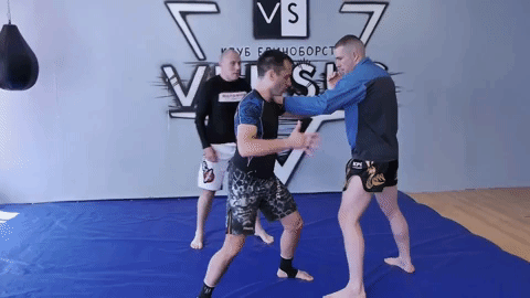 видео взято с канала "боевые ботаники"