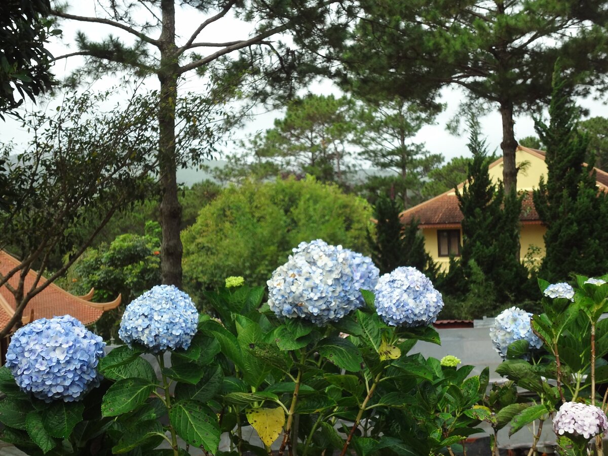 Вьетнам. город Далат.