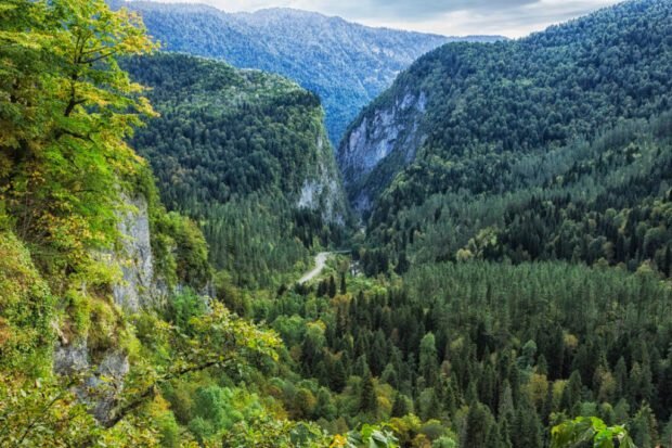 Вид со скалы "Прощай Родина". Абхазия. Фото из открытых источников
