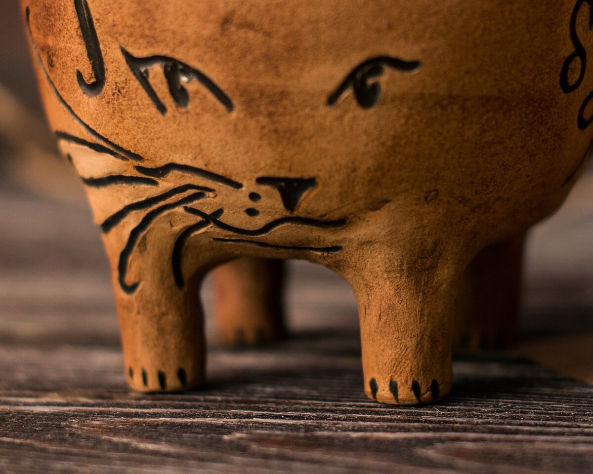  ⠀ 
 В Новой Зеландии кошка по ночам ворует у соседей мужские трусы и носки и тащит их домой. Не все подряд, а именно мужские. 
⠀ 
Крадется ночью к соседям на участок, и ворует с бельевой веревки трусы.😆 Интересно, что думают соседские мужики, когда по утру не обнаруживают трусов на веревках???😂 
⠀ 
Эти кружки-кошки на ногах, когда доедут до своих хозяек, надеюсь, тоже будут приносить мужские трусы от соседей по ночам.🤣 
⠀ 
И пусть всё будет МЯУ😻