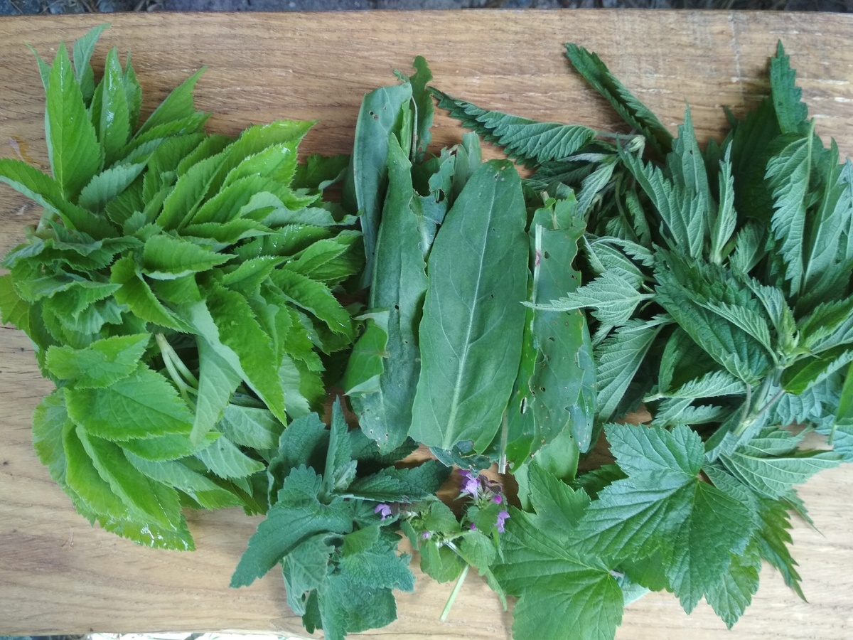 Вот такой зелёный букет