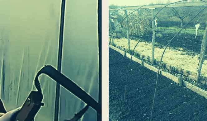 Обработка почвы плоскорезом Фокина