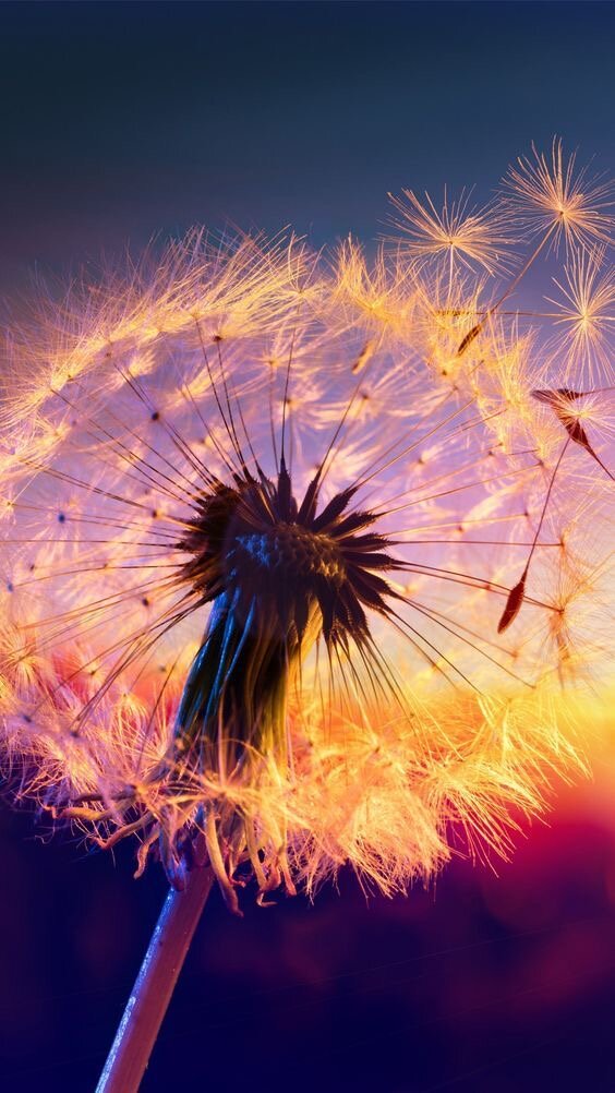 О чем ты думаешь в течении дня?!