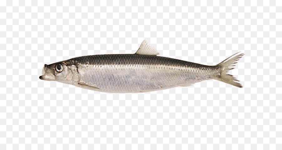 Взяла отсюда https://www.freepng.ru/png-asosrk/