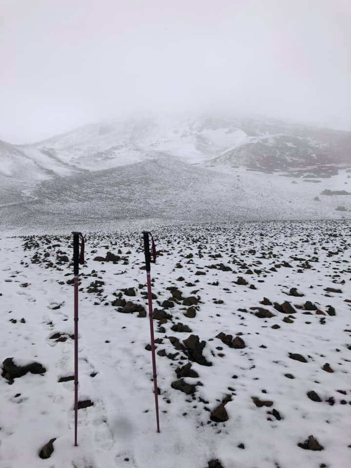 Всё завалило