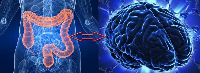Последние исследования доказали взаимосвязь правильной микрофлоры, с хорошим настроением, выделением серотонина и положительной взаимосвязью гуморальной регуляции мозга.