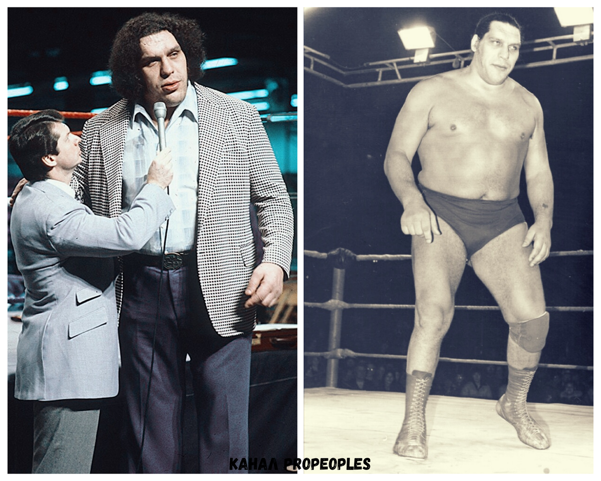 Андре "Гигант" Русимов. Коллаж автора.