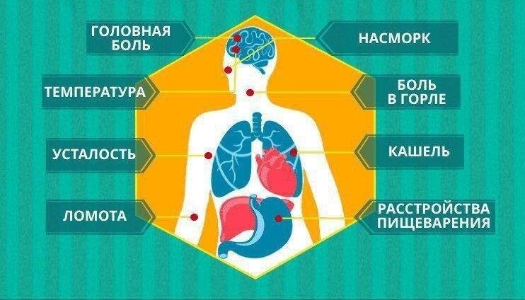 Симптомы коронавирусакоронавируса. 