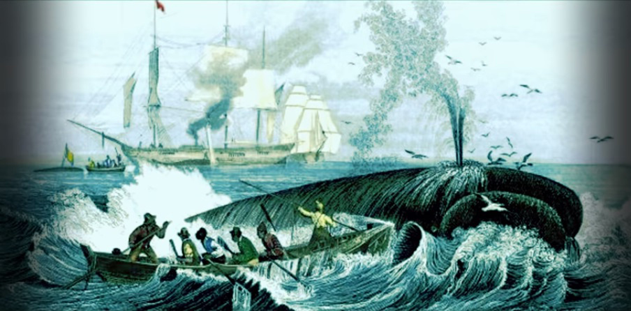 добыча кита