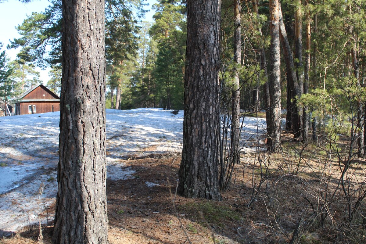 Снег не тает.