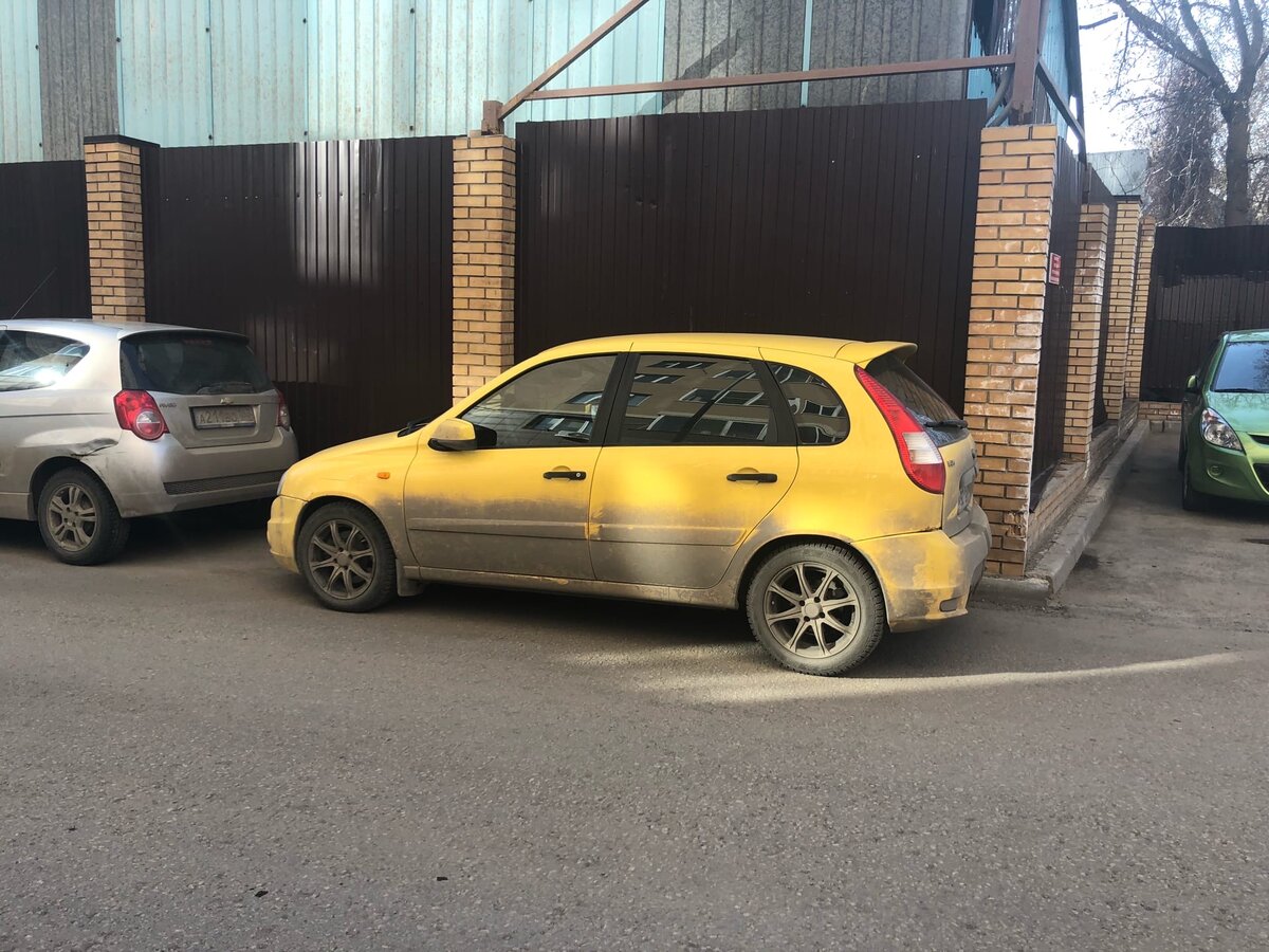 Моя Калина Спорт