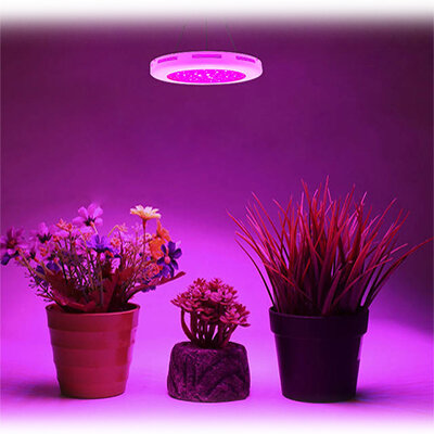 Фитолампы для домашних растений, фитолампы для цветов