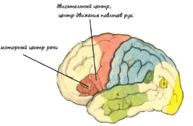 Обозначение клавиатуры на ноутбуке леново. Точки на мочке уха отвечающие за органы. Который отвечает за то чтобы. Точки акупунктуры на стопе. Точечный массаж руки схема.