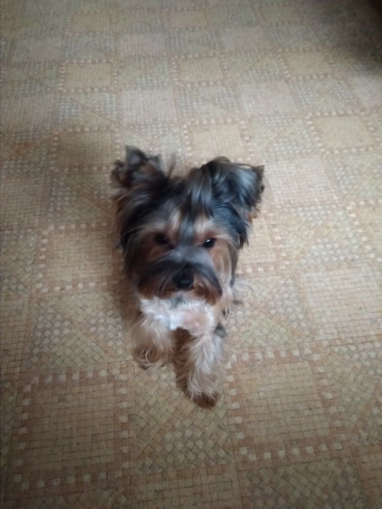 из архива автора