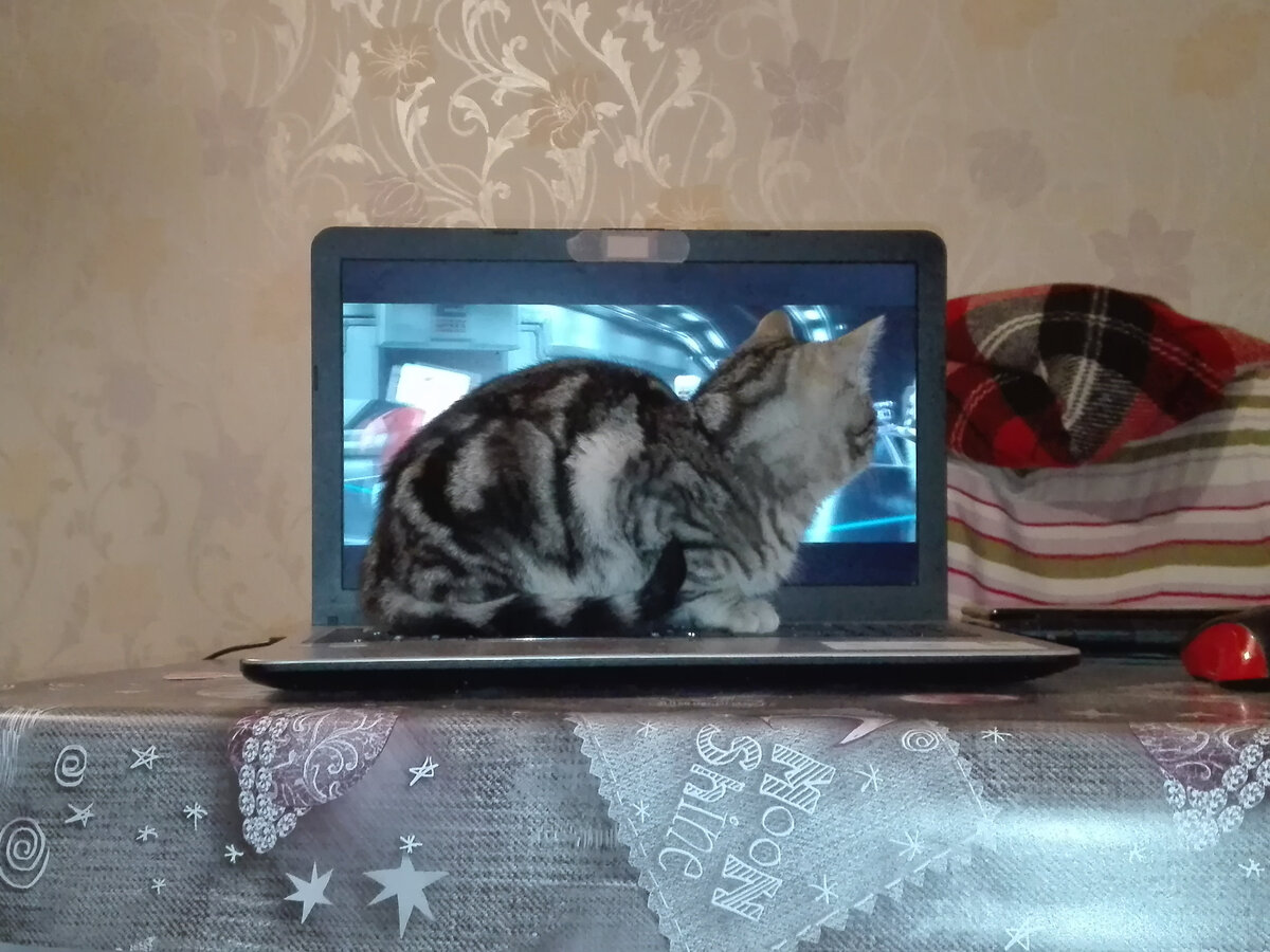 Смотреть кинцо стало сложнее!