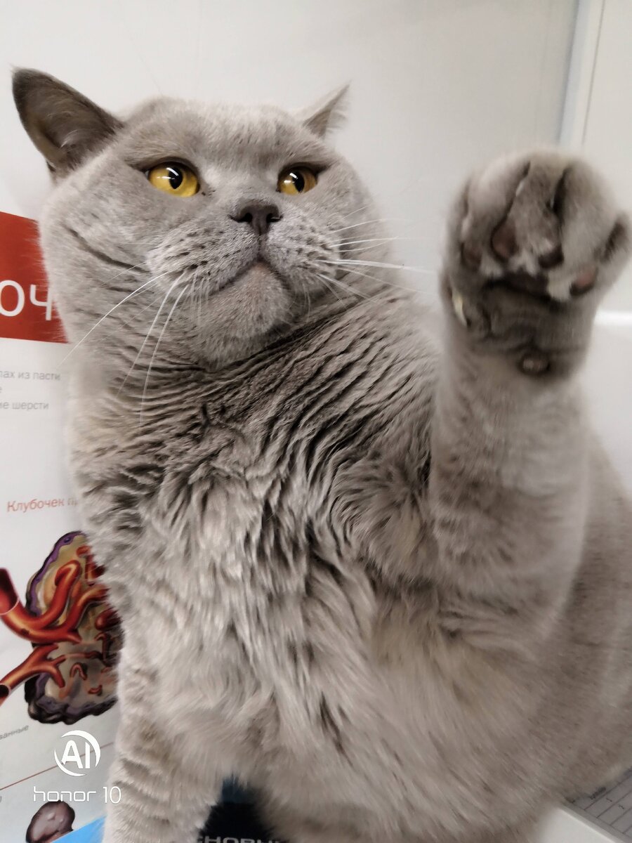 Боня не в духе....