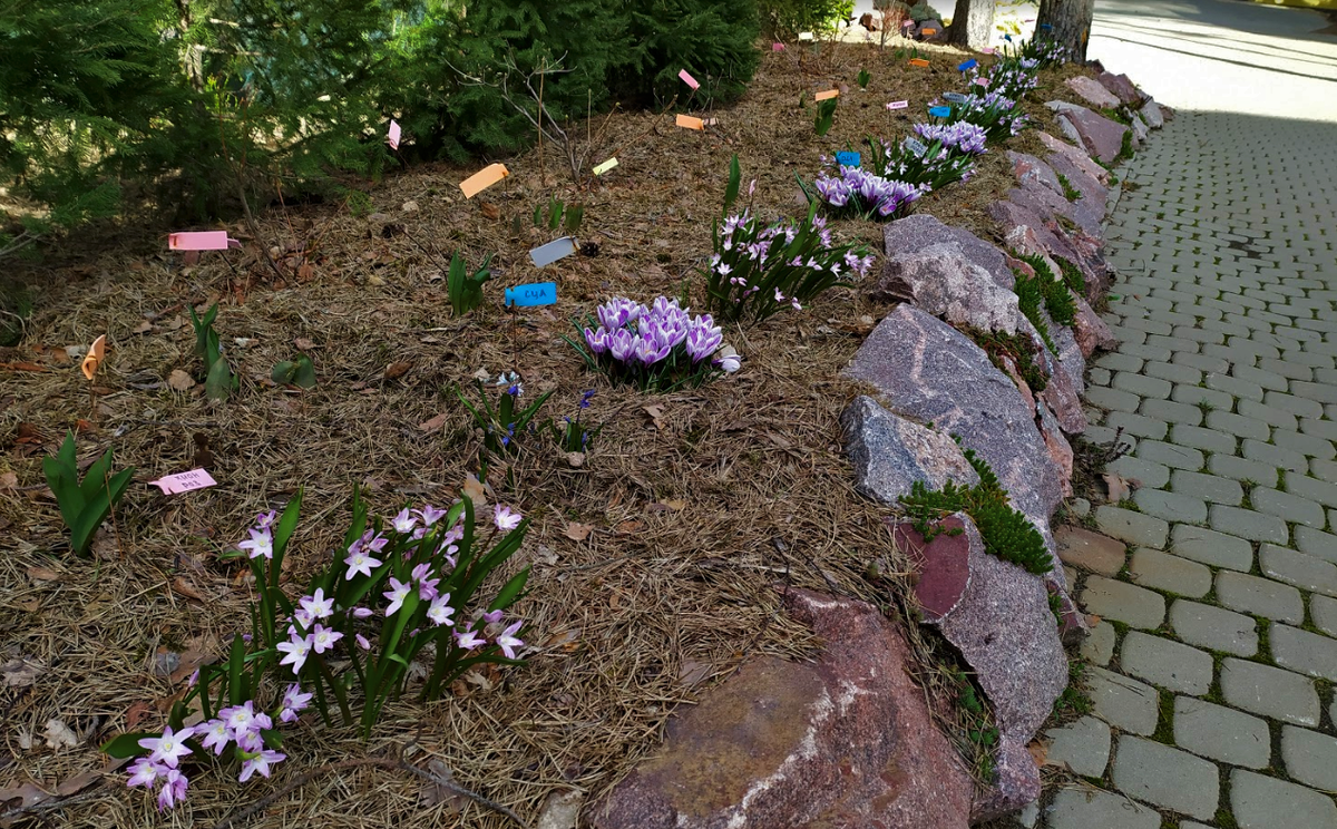 Еле дождалась тени!  