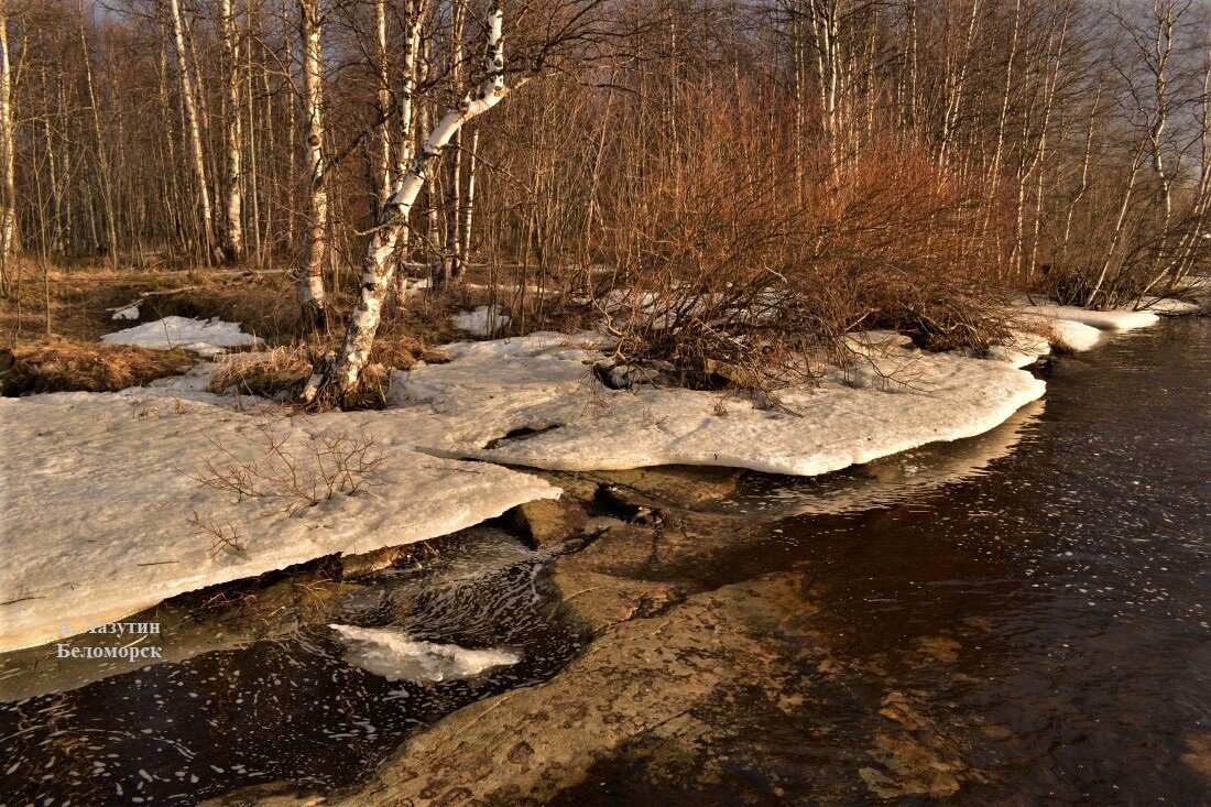 Фото А. Лазутин 22.04.2020
#Беломорск
#Карелия
#Поморье
https://karjalanmu.ru/