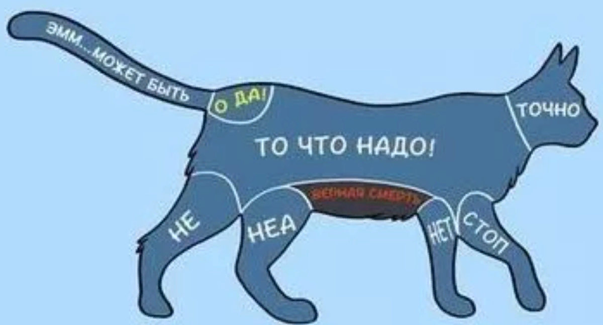 Вот эти места нельзя гладить!