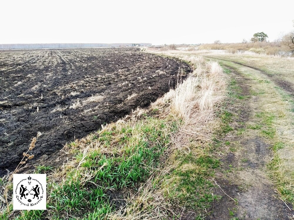 Поле, на котором искали монеты. Грубая вспашка - тяжело ходить.