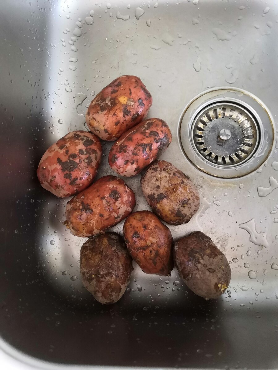 Из личного архива 