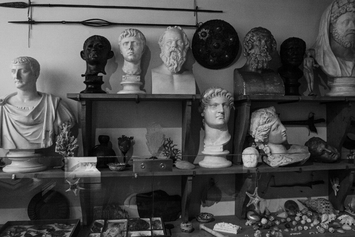 кунсткамера художника