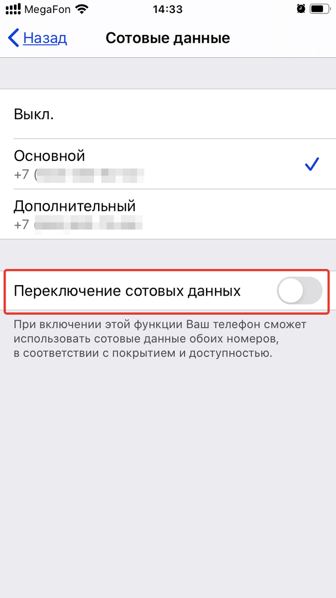 Выбор через какого оператора выходить в интернет на iPhone