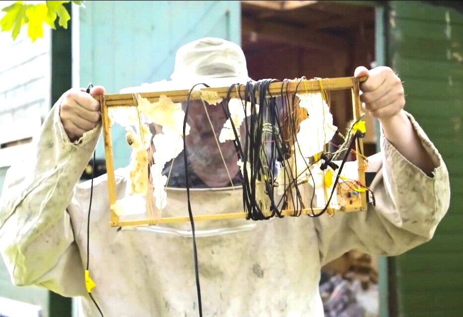 Биони Самп за работой