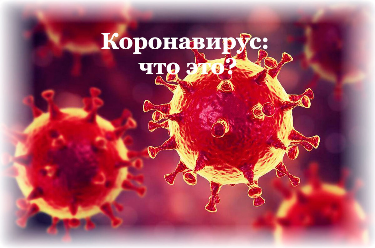 Что такое коронавирус?