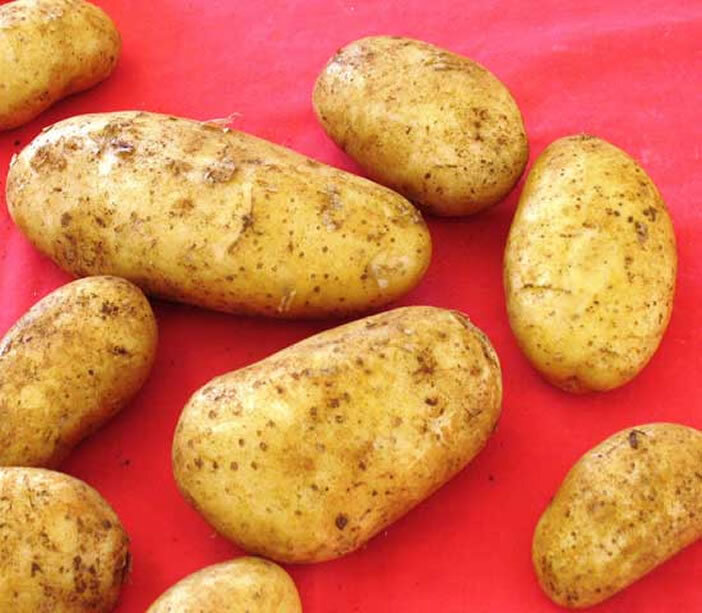 Золотистый кипрский картофель