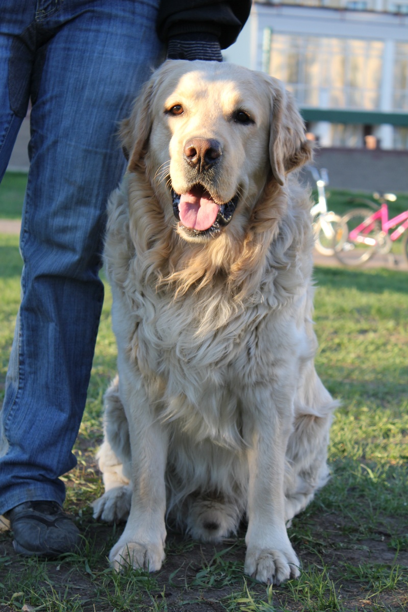 Мой защитник!!!!!