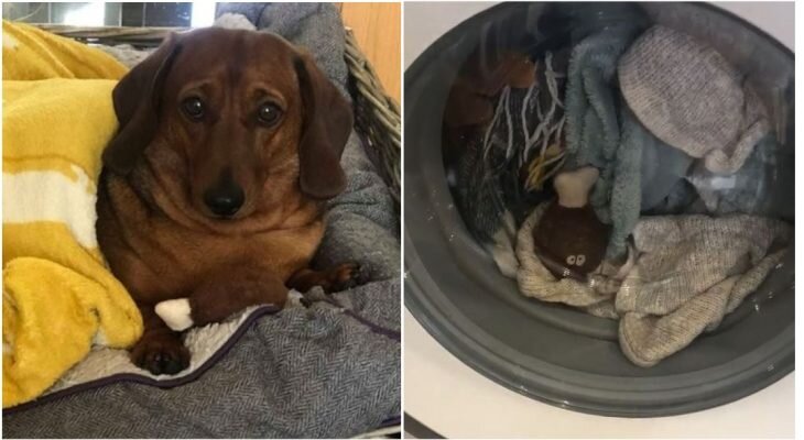 Фотоматериал: lemurov.net