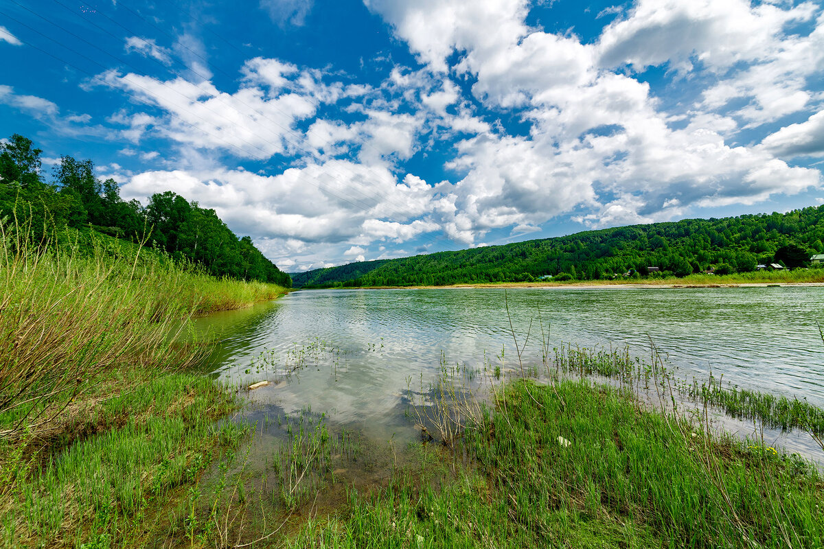 West coast of the Kondoma river.