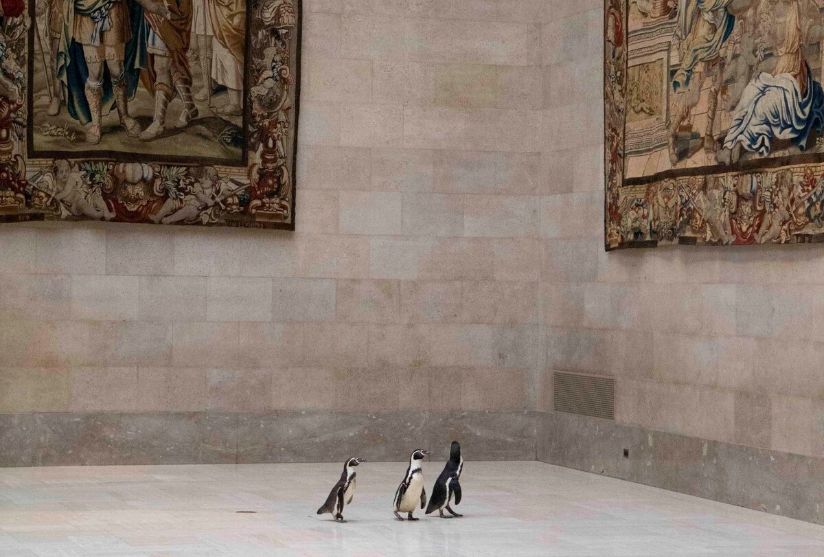 © Музей искусств Нельсона-Аткинса