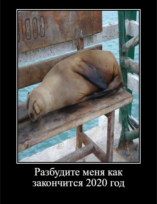 Слишком насыщенный год