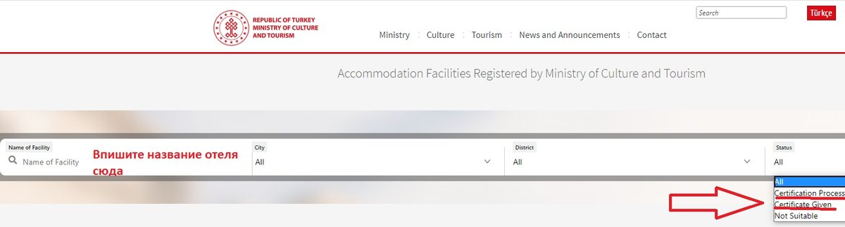 Слева вводите название отеля. Фильтр по статусу справа: в процессе или получен