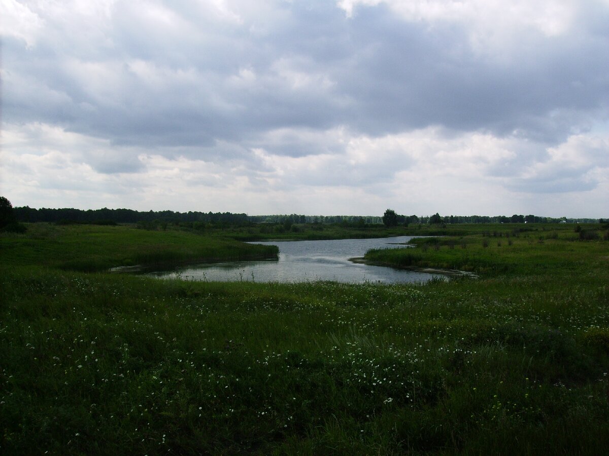 Таких болотцев было очень много. Сейчас все пересохло.