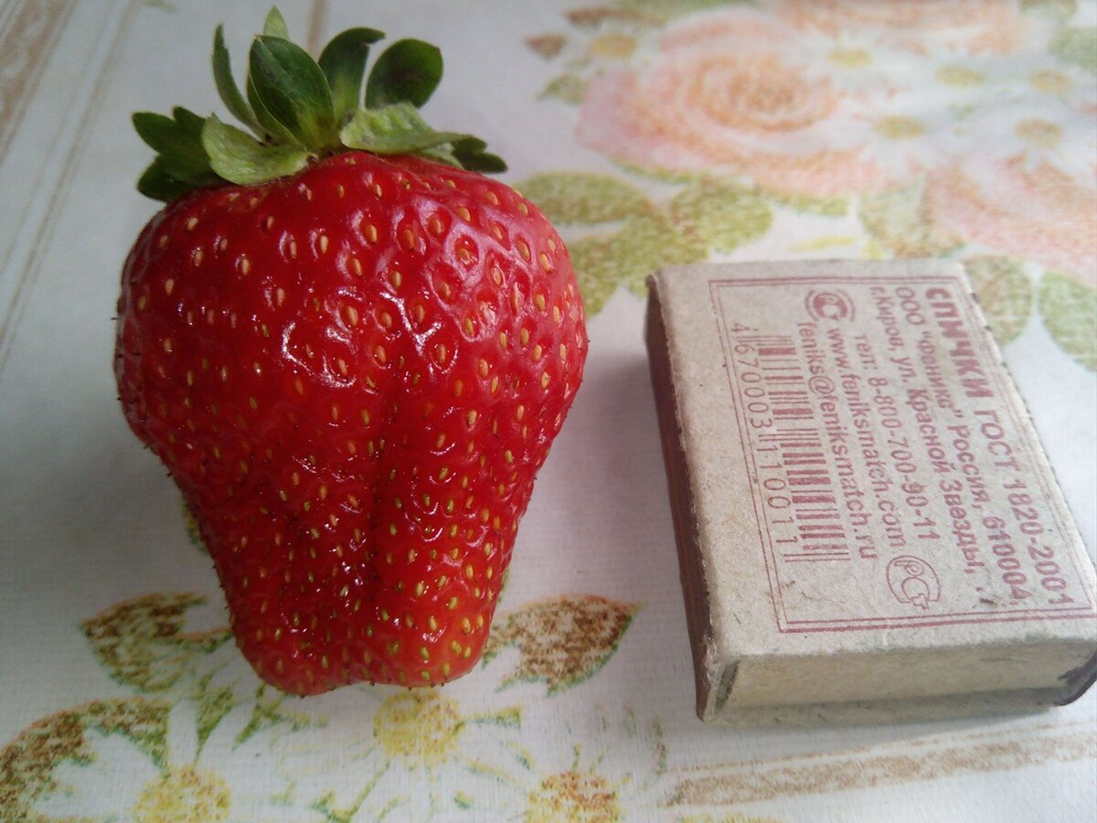 Июль 2019 г (Приволжский округ)