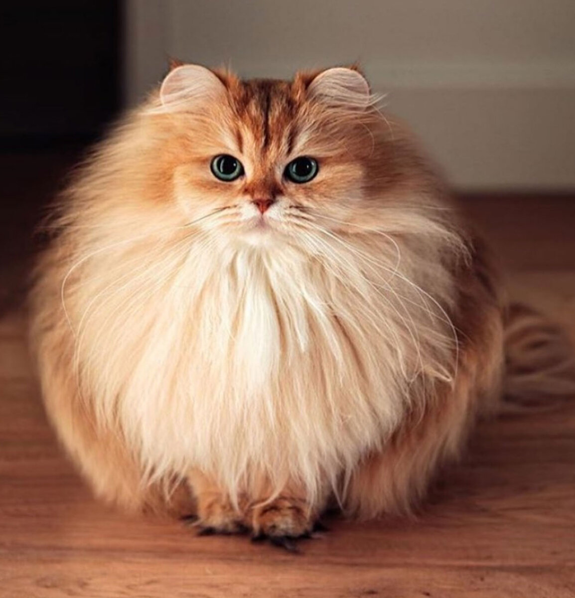 Изображение взято из Google картинки для иллюстрации статьи