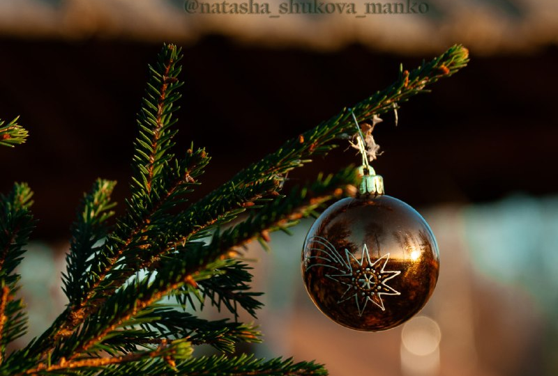 Увидела падающие звезды в декабре