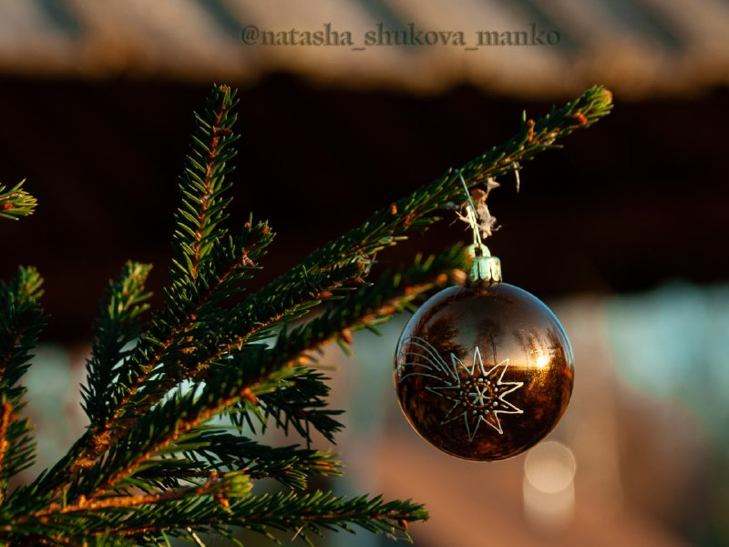 Звезда, что упала