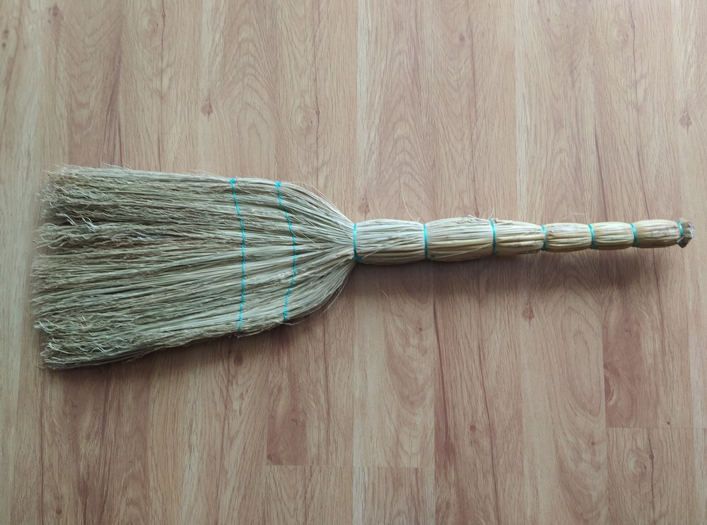 Комнатный веник. Авторское фото