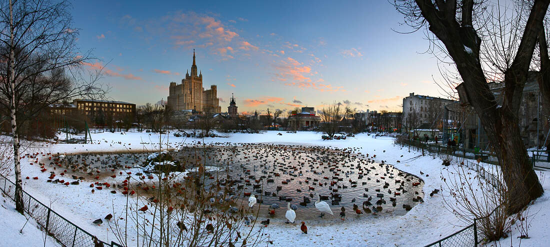 Зимний зоопарк в москве